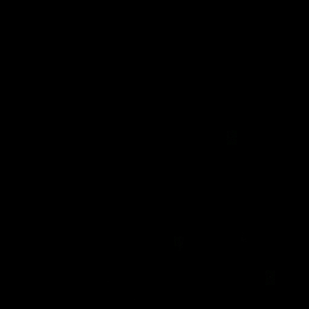 Meet your Posher, Kacey